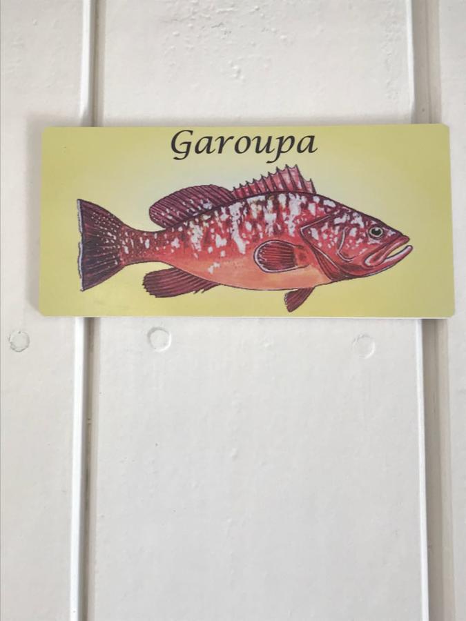 Aquarius Osteria Hotel Arraial do Cabo Eksteriør billede